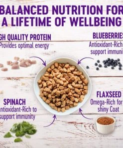 Wellness Small Breed Complete Health Puppy Turkey, Oatmeal & Salmon Meal Recipe Dry Dog Food, 4-lb bag + Wellness Complete Health Just for Puppy Canned Dog Food, 12.5-oz, case of 12 4 Wellness Small Breed Complete Health Puppy Turkey, Oatmeal & Salmon Meal Recipe Dry Dog Food, 4-lb bag + Wellness Complete Health Just for Puppy Canned Dog Food, 12.5-oz, case of 12 -Pet Toy Elegant Shop 298748 PT2. SY630 V1621985854