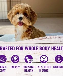 Wellness Small Breed Complete Health Senior Deboned Turkey & Peas Recipe Dry Dog Food, 4-lb bag + Wellness Complete Health Senior Formula Canned Dog Food, 12.5-oz, case of 12 5 Wellness Small Breed Complete Health Senior Deboned Turkey & Peas Recipe Dry Dog Food, 4-lb bag + Wellness Complete Health Senior Formula Canned Dog Food, 12.5-oz, case of 12 -Pet Toy Elegant Shop 298752 PT3. SY630 V1621987083