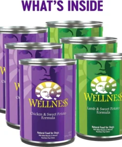 Wellness Complete Health Adult Deboned Chicken & Oatmeal Recipe Dry Food + Pate Variety Pack Wet Dog Food -Pet Toy Elegant Shop 353432 PT7. SY630 V1639539116