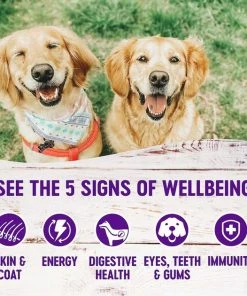 Wellness Complete Health Senior Deboned Chicken & Barley Recipe Dry Dog Food + Canned Dog Food -Pet Toy Elegant Shop 353435 PT7. SY630 V1639532495