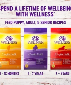 Wellness||WHIMZEES Wellness Complete Health Puppy Deboned Chicken, Oatmeal & Salmon Meal Recipe Dry Food + WHIMZEES Puppy Dental Dog Treats, X-Small/Small -Pet Toy Elegant Shop 353437 PT4. SY630 V1639541208