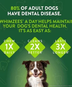 Wellness||WHIMZEES Wellness Complete Health Puppy Deboned Chicken, Oatmeal & Salmon Meal Recipe Dry Food + WHIMZEES Puppy Dental Dog Treats, X-Small/Small -Pet Toy Elegant Shop 353437 PT6. SY630 V1639528005