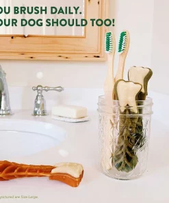 Wellness||WHIMZEES Wellness Complete Health Puppy Deboned Chicken, Oatmeal & Salmon Meal Recipe Dry Food + WHIMZEES Puppy Dental Dog Treats, X-Small/Small -Pet Toy Elegant Shop 353437 PT7. SY630 V1639536092