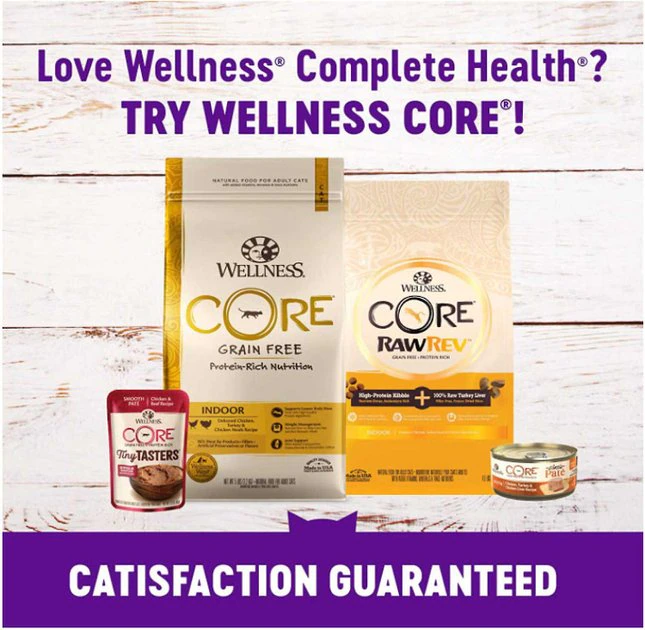Wellness Complete Health Natural Grain-Free Deboned Chicken & Chicken Meal Dry Kitten Food + Kitten Variety Pack Grain-Free Canned Cat Food Wellness Complete Health Natural Grain-Free Deboned Chicken & Chicken Meal Dry Kitten Food + Kitten Variety Pack Grain-Free Canned Cat Food -Pet Toy Elegant Shop 353443 PT4. SY630 V1639528345