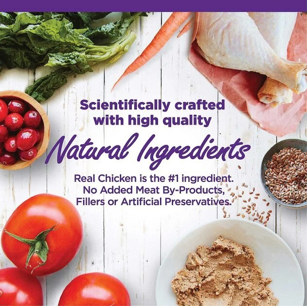 Wellness Complete Health Natural Grain-Free Deboned Chicken & Chicken Meal Dry Kitten Food + Kitten Variety Pack Grain-Free Canned Cat Food Wellness Complete Health Natural Grain-Free Deboned Chicken & Chicken Meal Dry Kitten Food + Kitten Variety Pack Grain-Free Canned Cat Food -Pet Toy Elegant Shop 353443 PT6. SY630 V1639543894