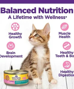 Wellness Complete Health Natural Grain-Free Deboned Chicken & Chicken Meal Dry Kitten Food + Kitten Variety Pack Grain-Free Canned Cat Food 9 Wellness Complete Health Natural Grain-Free Deboned Chicken & Chicken Meal Dry Kitten Food + Kitten Variety Pack Grain-Free Canned Cat Food -Pet Toy Elegant Shop 353443 PT7. SY630 V1639532214