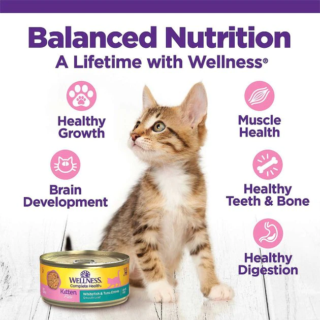 Wellness Complete Health Natural Grain-Free Deboned Chicken & Chicken Meal Dry Kitten Food + Kitten Variety Pack Grain-Free Canned Cat Food Wellness Complete Health Natural Grain-Free Deboned Chicken & Chicken Meal Dry Kitten Food + Kitten Variety Pack Grain-Free Canned Cat Food -Pet Toy Elegant Shop 353443 PT7. SY630 V1639532214