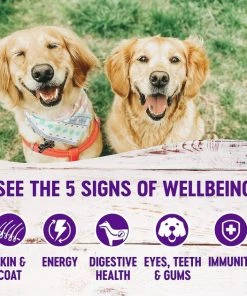 Wellness Large Breed Complete Health Adult Deboned Chicken & Brown Rice Recipe Dry Dog Food + Chicken Stew with Peas & Carrots Grain-Free Canned Food 8 Wellness Large Breed Complete Health Adult Deboned Chicken & Brown Rice Recipe Dry Dog Food + Chicken Stew with Peas & Carrots Grain-Free Canned Food -Pet Toy Elegant Shop 367528 PT6. SY630 V1644450123