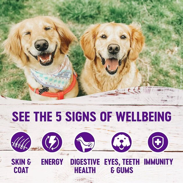 Wellness Large Breed Complete Health Adult Deboned Chicken & Brown Rice Recipe Dry Dog Food + Chicken Stew with Peas & Carrots Grain-Free Canned Food Wellness Large Breed Complete Health Adult Deboned Chicken & Brown Rice Recipe Dry Dog Food + Chicken Stew with Peas & Carrots Grain-Free Canned Food -Pet Toy Elegant Shop 367528 PT6. SY630 V1644450123