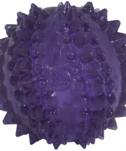 JW Pet Bristly Cactus Ball Dog Toy, Purple -Pet Toy Elegant Shop 369096 PT4. SY630 V1646696841