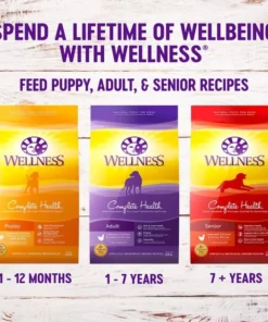 Wellness Complete Health Healthy Weight Deboned Chicken & Peas Recipe Dry Dog Food 15 Wellness Complete Health Healthy Weight Deboned Chicken & Peas Recipe Dry Dog Food -Pet Toy Elegant Shop 49147 PT6. SY630 V1627506454