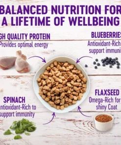 Wellness Large Breed Complete Health Adult Deboned Chicken & Brown Rice Recipe Dry Dog Food -Pet Toy Elegant Shop 49174 PT1. SY630 V1594822861