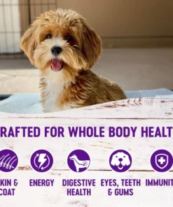 Wellness Small Breed Complete Health Adult Turkey & Oatmeal Recipe Dry Dog Food 11 Wellness Small Breed Complete Health Adult Turkey & Oatmeal Recipe Dry Dog Food -Pet Toy Elegant Shop 49176 PT2. SY630 V1658459008