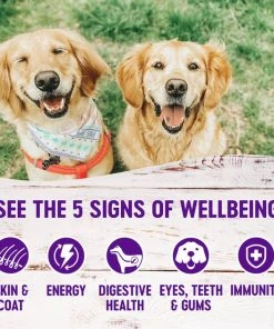 Wellness Complete Health Duck & Sweet Potato Formula Canned Dog Food -Pet Toy Elegant Shop 49208 PT2. SY630 V1606865549