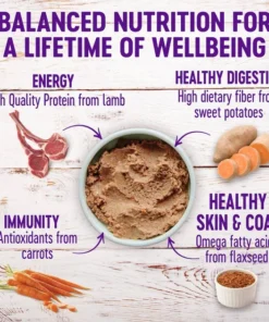 Wellness Complete Health Lamb & Sweet Potato Formula Canned Dog Food 10 Wellness Complete Health Lamb & Sweet Potato Formula Canned Dog Food -Pet Toy Elegant Shop 49213 PT1. SY630 V1606865227