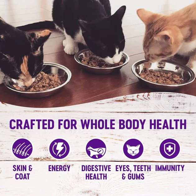 Wellness Complete Health Adult Beef & Chicken Formula Grain-Free Canned Cat Food, 3-oz, case of 24 Wellness Complete Health Adult Beef & Chicken Formula Grain-Free Canned Cat Food -Pet Toy Elegant Shop 49257 PT2. SY630 V1594824961