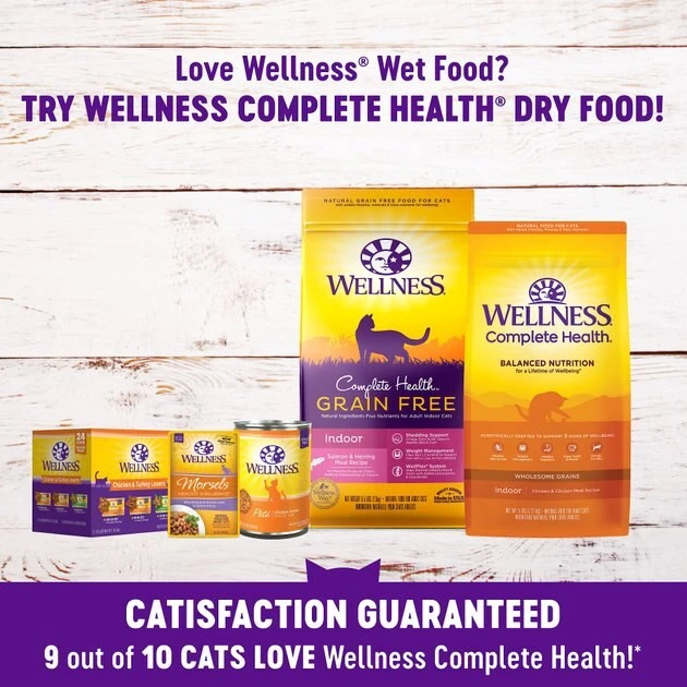 Wellness Complete Health Adult Beef & Chicken Formula Grain-Free Canned Cat Food, 3-oz, case of 24 Wellness Complete Health Adult Beef & Chicken Formula Grain-Free Canned Cat Food -Pet Toy Elegant Shop 49257 PT6. SY630 V1618320765