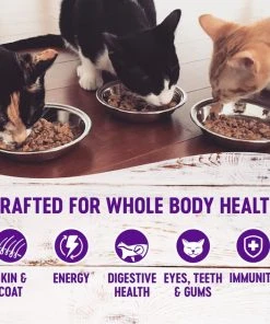 Wellness Complete Health Chicken & Lobster Formula Canned Cat Food -Pet Toy Elegant Shop 49266 PT2. SY630 V1594823154