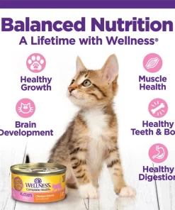 Wellness Complete Health Kitten Chicken Entrée Recipe Canned Wet Cat Food -Pet Toy Elegant Shop 49274 PT3. SY630 V1635432413