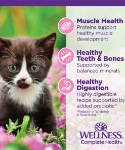 Wellness Complete Health Kitten Chicken Entrée Recipe Canned Wet Cat Food -Pet Toy Elegant Shop 49274 PT5. SY630 V1635434815