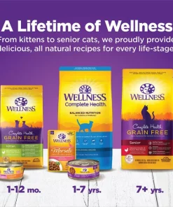 Wellness Complete Health Kitten Chicken Entrée Recipe Canned Wet Cat Food -Pet Toy Elegant Shop 49274 PT6. SY630 V1635437211