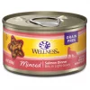 Wellness Complete Health Natural Minced Salmon Dinner Grain-Free Canned Cat Food 1 Wellness Complete Health Natural Minced Salmon Dinner Grain-Free Canned Cat Food -Pet Toy Elegant Shop 52112 MAIN. SY630 V1636499485