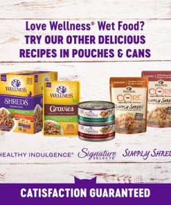 Wellness Complete Health Natural Minced Salmon Dinner Grain-Free Canned Cat Food 8 Wellness Complete Health Natural Minced Salmon Dinner Grain-Free Canned Cat Food -Pet Toy Elegant Shop 52112 PT6. SY630 V1636519579