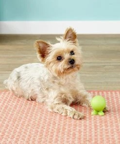 JW Pet Good Cuz Dog Toy, Color Varies -Pet Toy Elegant Shop 53318 PT4. SY630 V1530540124