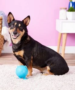 JW Pet Bad Cuz Dog Toy, Color Varies -Pet Toy Elegant Shop 53321 PT2. SY630 V1531445842