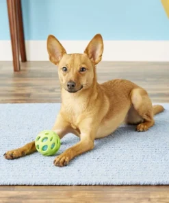 Pet Toy Elegant Shop -Pet Toy Elegant Shop 53330 PT1. SY630 V1542656245