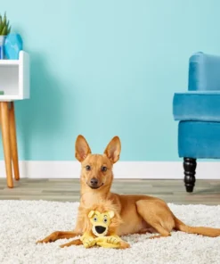 Pet Toy Elegant Shop -Pet Toy Elegant Shop 53333 PT1. SY630 V1531446422