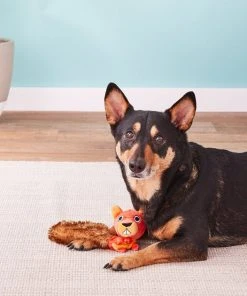 JW Pet Crackle Heads Skippy the Squirrel Dog Toy 5 JW Pet Crackle Heads Skippy the Squirrel Dog Toy -Pet Toy Elegant Shop 53335 PT3. SY630 V1530909935