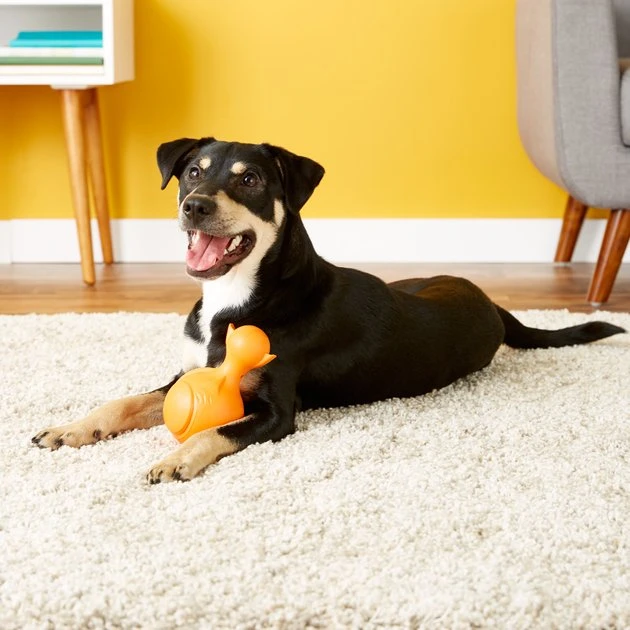 JW Pet Ruffians Fish Squeaky Dog Toy, Color Varies JW Pet Ruffians Fish Squeaky Dog Toy, Color Varies -Pet Toy Elegant Shop 53408 PT1. SY630 V1531446449