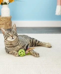 JW Pet Cataction Feather Ball with Bell Cat Toy -Pet Toy Elegant Shop 53412 PT7. SY630 V1526316604