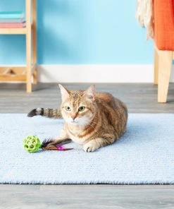 JW Pet Cataction Feather Ball with Bell Cat Toy -Pet Toy Elegant Shop 53412 PT8. SY630 V1526316616