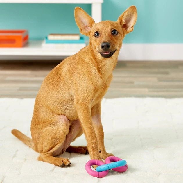 JW Pet Invincible Chains Triple Dog Toy, Color Varies, X-Small JW Pet Invincible Chains Triple Dog Toy, Color Varies -Pet Toy Elegant Shop 53427 PT8. SY630 V1505745298