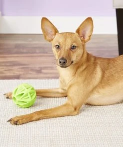 JW Pet Megalast Ball Dog Toy, Color Varies -Pet Toy Elegant Shop 70992 PT5. SY630 V1530911956