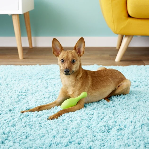 JW Pet iSqueak Bouncin' Bowlin' Pin Dog Toy, Color Varies, Small JW Pet iSqueak Bouncin' Bowlin' Pin Dog Toy, Color Varies -Pet Toy Elegant Shop 71020 PT1. SY630 V1531506769