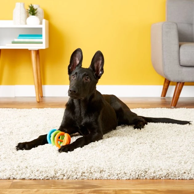 JW Pet Dogs in Action Dog Toy, Color Varies, Large JW Pet Dogs in Action Dog Toy, Color Varies -Pet Toy Elegant Shop 71033 PT1. SY630 V1548967393