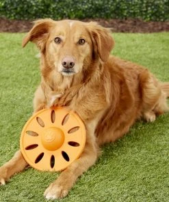 JW Pet Whirlwheel Flying Disk Dog Toy, Color Varies -Pet Toy Elegant Shop 71070 PT4. SY630 V1531508852