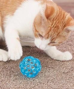 JW Pet Cataction Lattice Ball Cat Toy 4 JW Pet Cataction Lattice Ball Cat Toy -Pet Toy Elegant Shop 73715 PT5. SY630 V1525718983