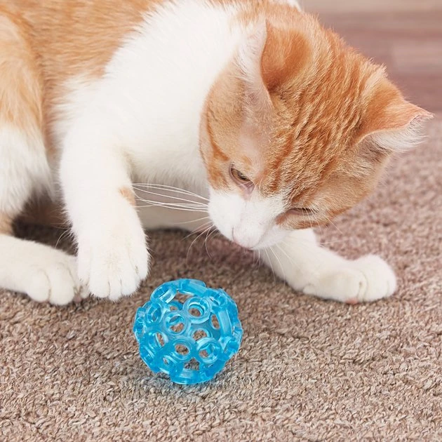JW Pet Cataction Lattice Ball Cat Toy JW Pet Cataction Lattice Ball Cat Toy -Pet Toy Elegant Shop 73715 PT5. SY630 V1525718983