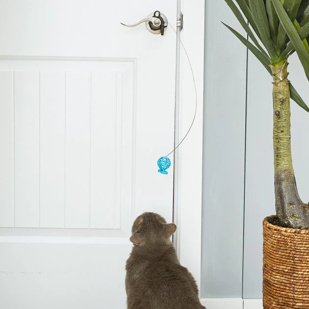 JW Pet Cataction Door Knob Teaser with Lattice Cuz Cat Toy JW Pet Cataction Door Knob Teaser with Lattice Cuz Cat Toy -Pet Toy Elegant Shop 73727 PT5. SY630 V1525719018