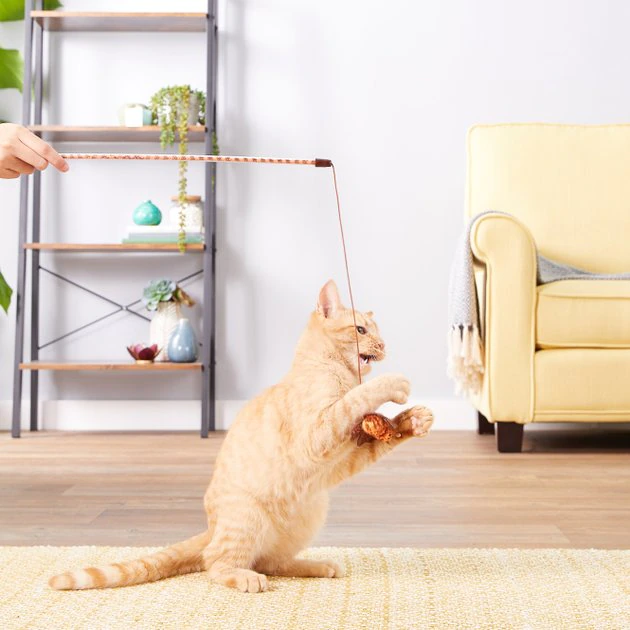 JW Pet Cataction Butterfly Wand Cat Toy JW Pet Cataction Butterfly Wand Cat Toy -Pet Toy Elegant Shop 73749 PT1. SY630 V1545172996