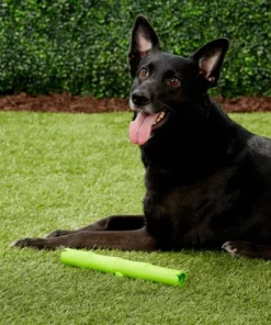 JW Pet Bamboo Stick Dog Toy, Color Varies 9 JW Pet Bamboo Stick Dog Toy, Color Varies -Pet Toy Elegant Shop 80997 PT3. SY630 V1531517527