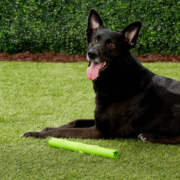 JW Pet Bamboo Stick Dog Toy, Color Varies 6 JW Pet Bamboo Stick Dog Toy, Color Varies - Image 4