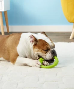 JW Pet Big Mouth Single Ring Dog Toy 7 JW Pet Big Mouth Single Ring Dog Toy -Pet Toy Elegant Shop 81000 PT1. SY630 V1545175399
