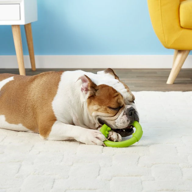 JW Pet Big Mouth Single Ring Dog Toy 4 JW Pet Big Mouth Single Ring Dog Toy - Image 2