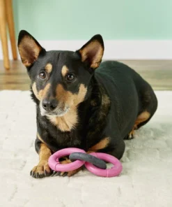 JW Pet Big Mouth Triple Ring Dog Toy, Color Varies 5 JW Pet Big Mouth Triple Ring Dog Toy, Color Varies -Pet Toy Elegant Shop 81002 PT1. SY630 V1531517540
