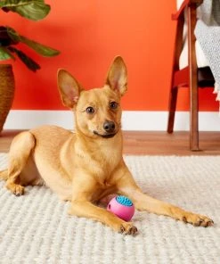 JW Pet Grass Ball Dog Toy, Color Varies -Pet Toy Elegant Shop 81017 PT5. SY630 V1531517558